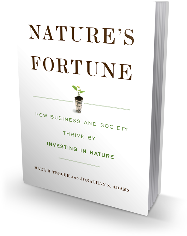 Nature's Fortune book cover